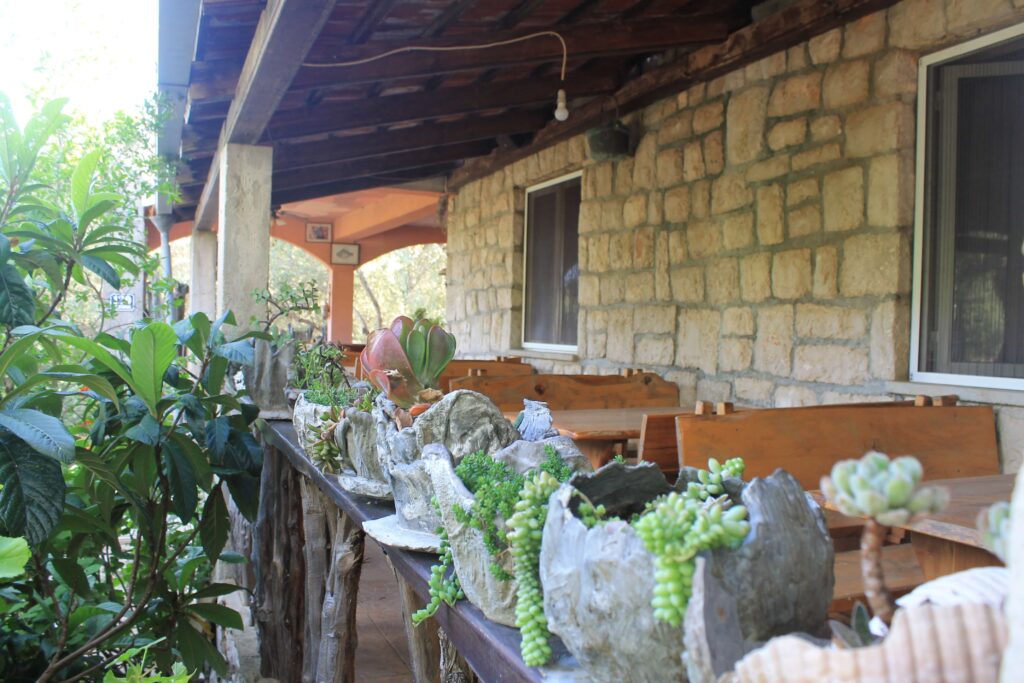 img 7364 (1)
